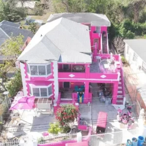 da-pink-and-white-palace